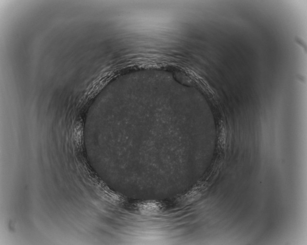 X0000100380513200806201653