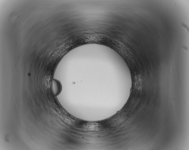 X0000100380514200806201653