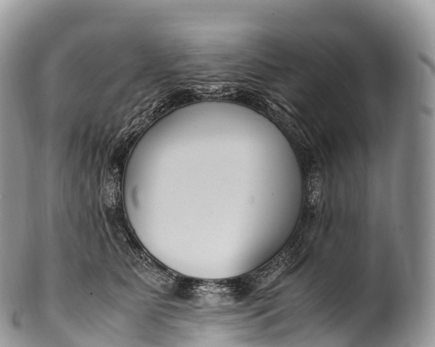X0000100380515200806201653