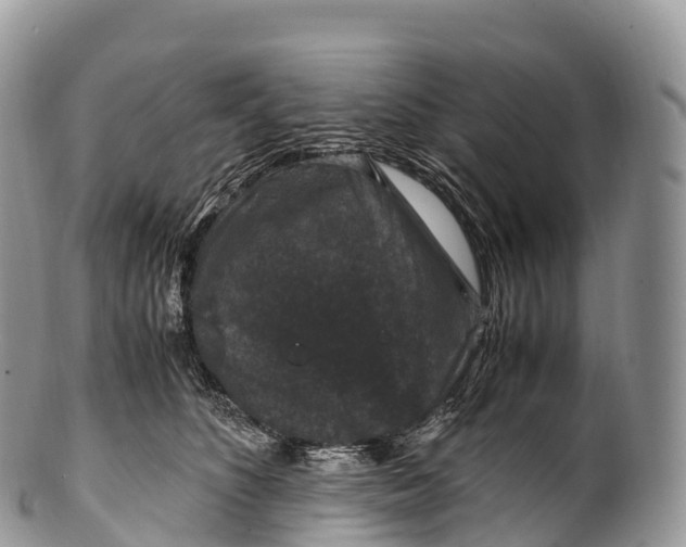 X0000100380516200806201653