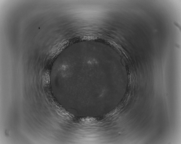 X0000100380517200806201653