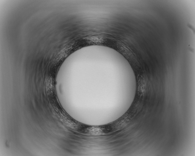 X0000100380518200806201653