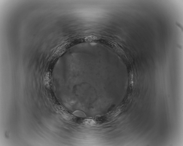 X0000100380519200806201653