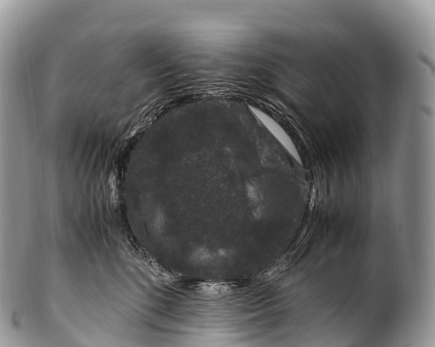 X0000100380520200806201653
