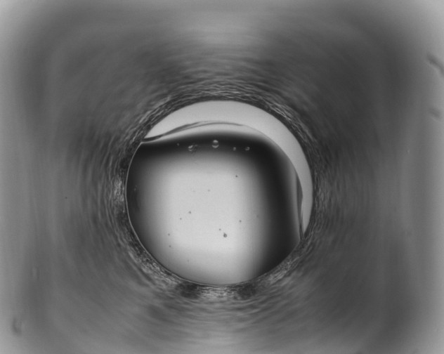 X0000100380521200806201653