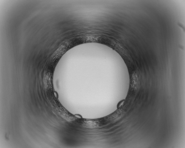 X0000100380522200806201653