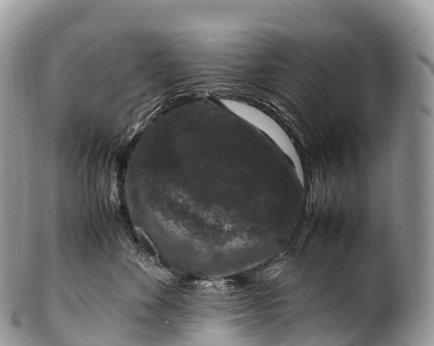 X0000100380524200806201653