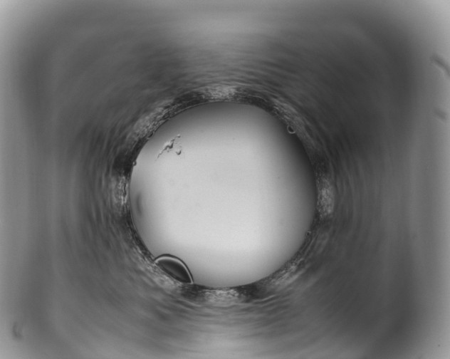 X0000100380525200806201653