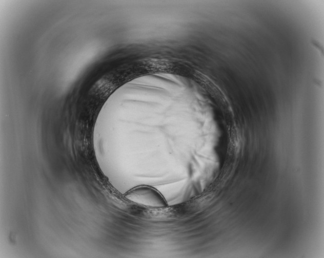 X0000100380526200806201653
