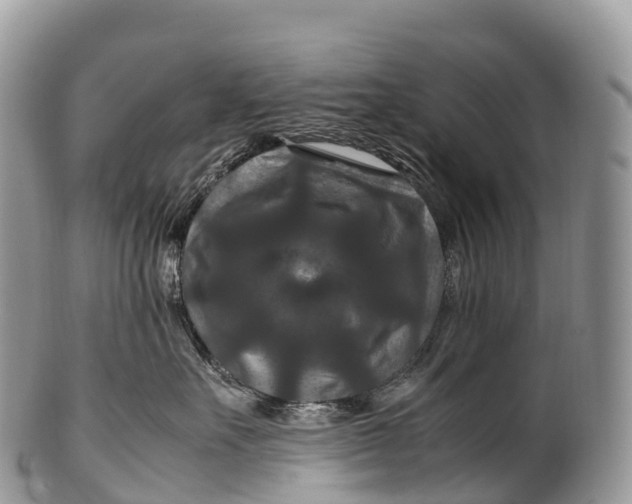X0000100380527200806201653