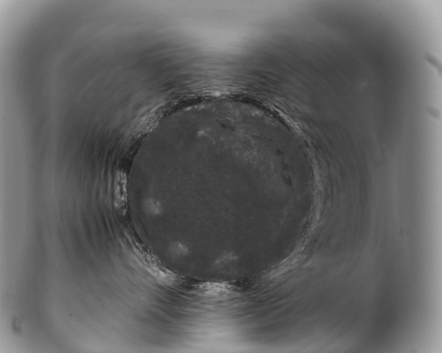 X0000100380528200806201653