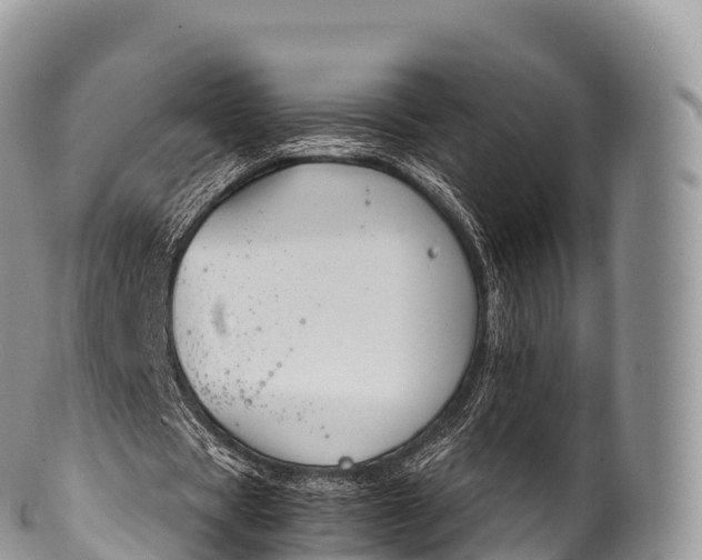 X0000100380529200806201652