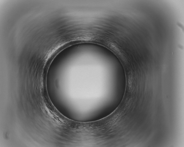 X0000100380532200806201652