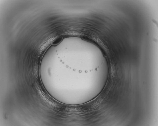 X0000100380533200806201652