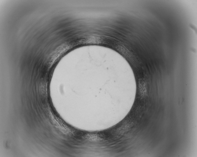 X0000100380534200806201652