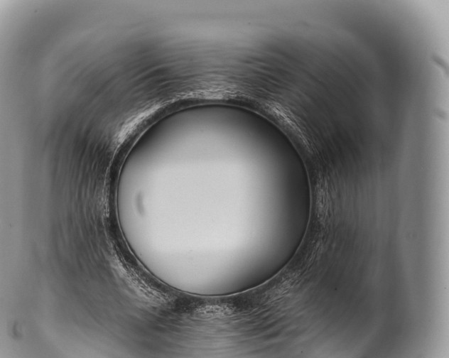 X0000100380536200806201652