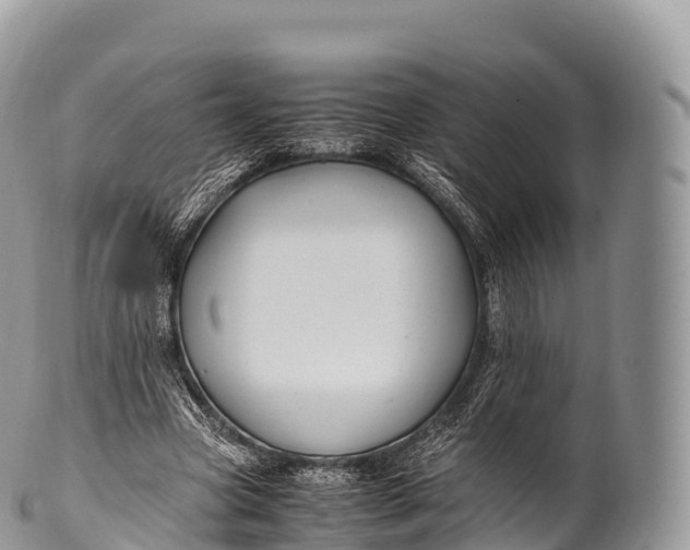 X0000100380537200806201652