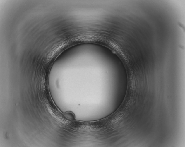 X0000100380538200806201652