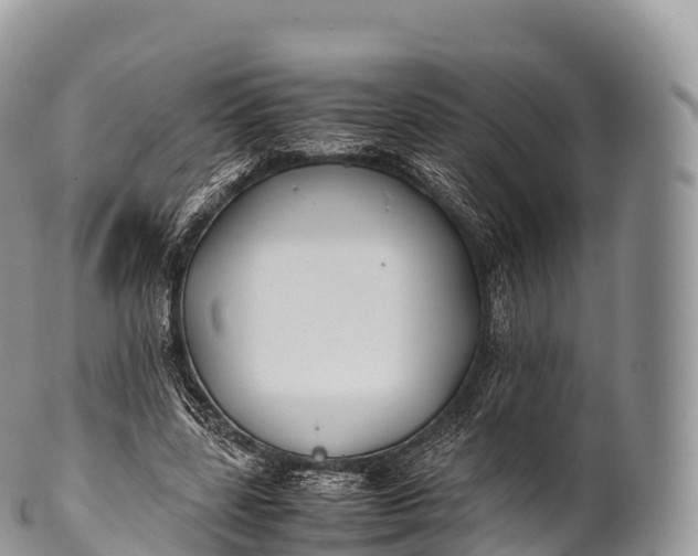 X0000100380539200806201652
