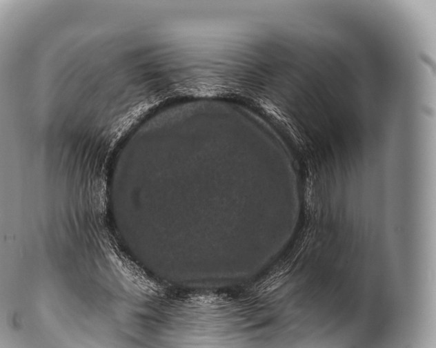 X0000100380540200806201652