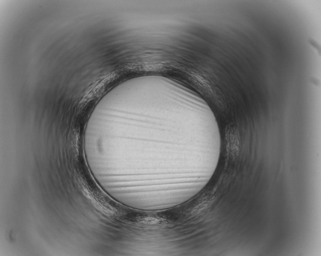 X0000100380542200806201652