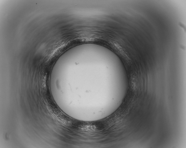 X0000100380543200806201652