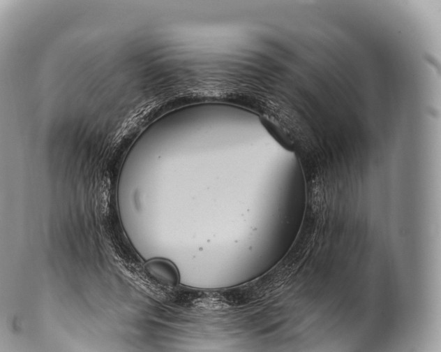 X0000100380544200806201652
