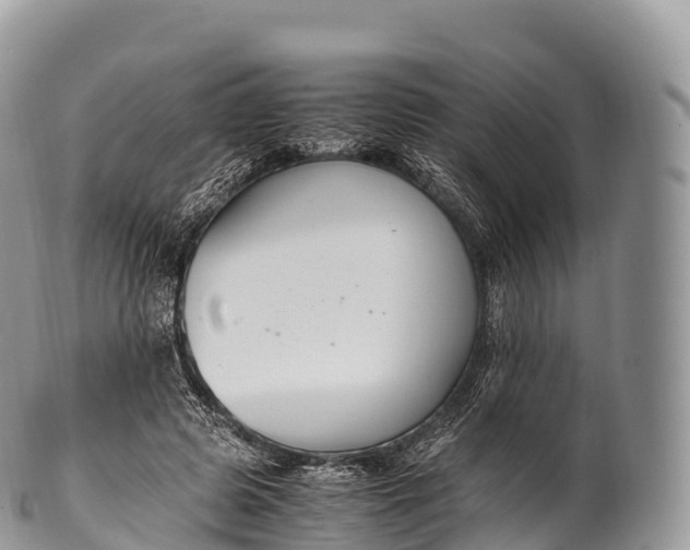 X0000100380545200806201652