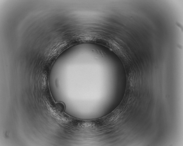 X0000100380546200806201652