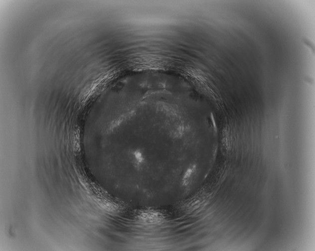 X0000100380547200806201652