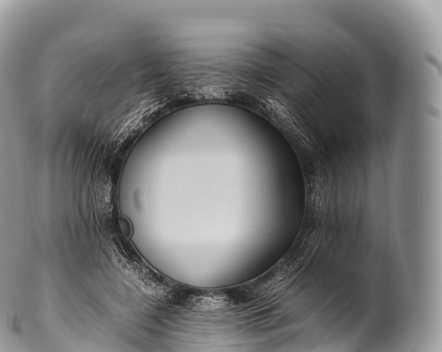 X0000100380548200806201652