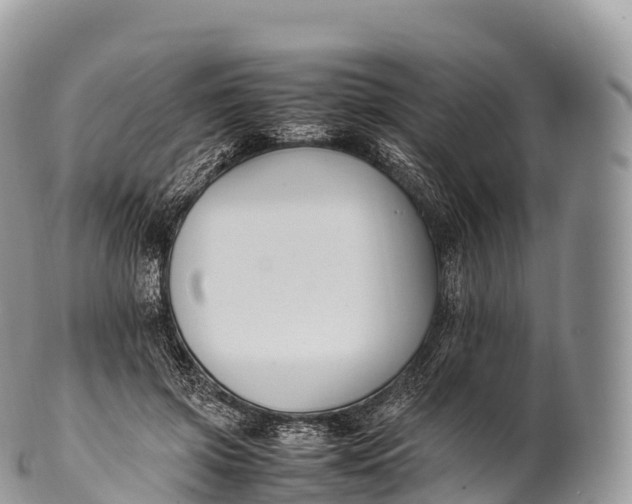 X0000100380549200806201652