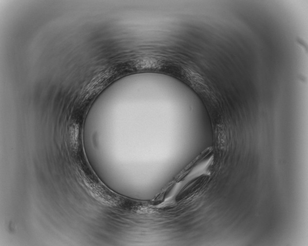 X0000100380550200806201652