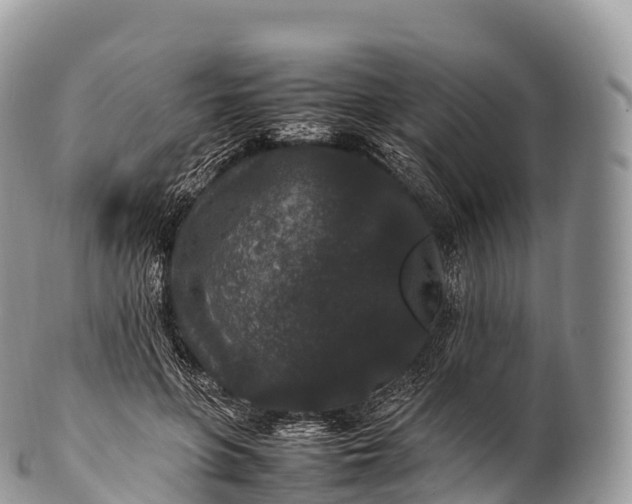X0000100380551200806201652