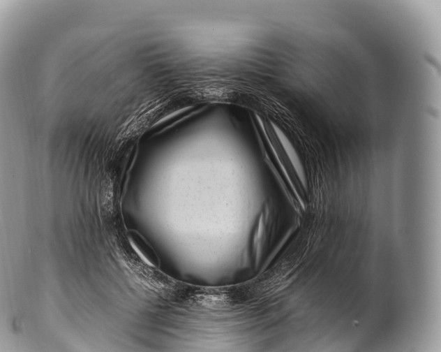 X0000100380552200806201653