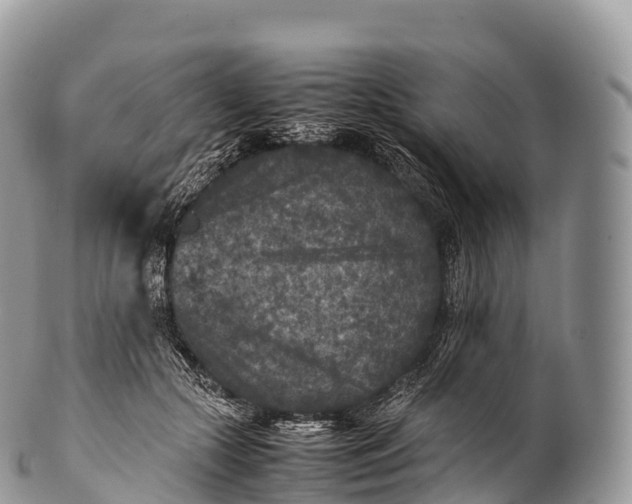 X0000100380553200806201653