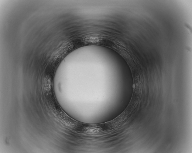 X0000100380555200806201653