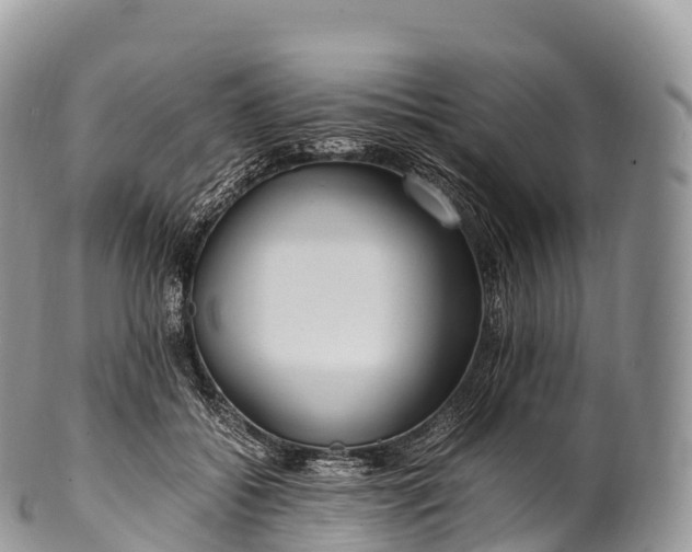 X0000100380556200806201653