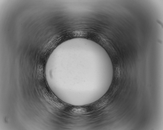 X0000100380557200806201653