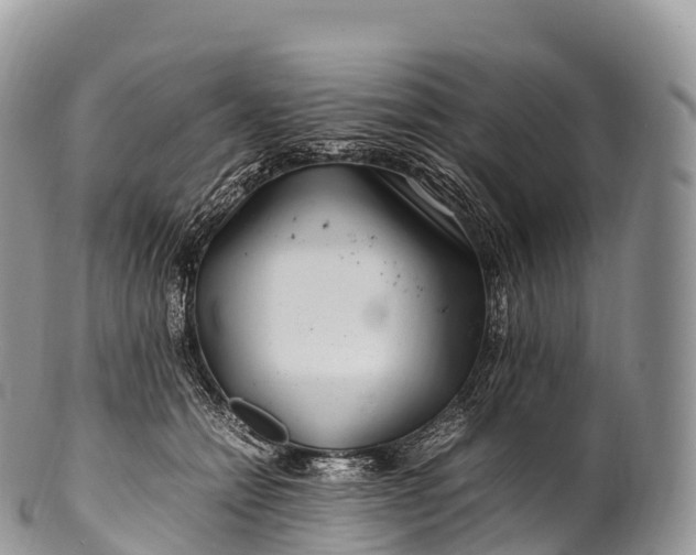 X0000100380558200806201653