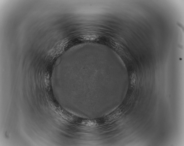X0000100380559200806201653