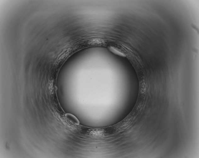 X0000100380560200806201653