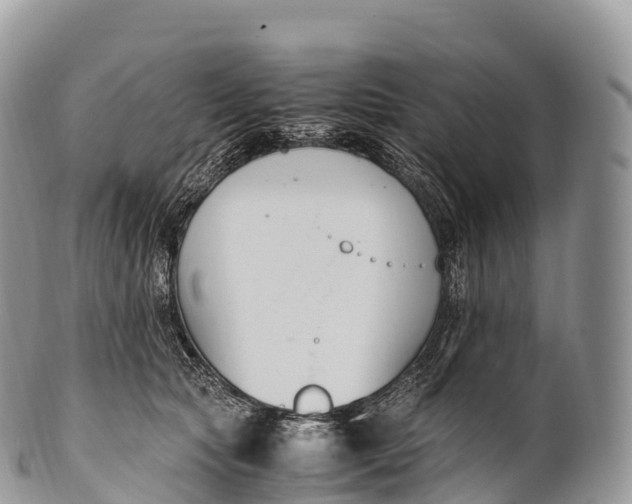 X0000100380561200806201653