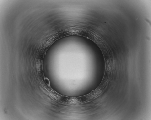 X0000100380562200806201653