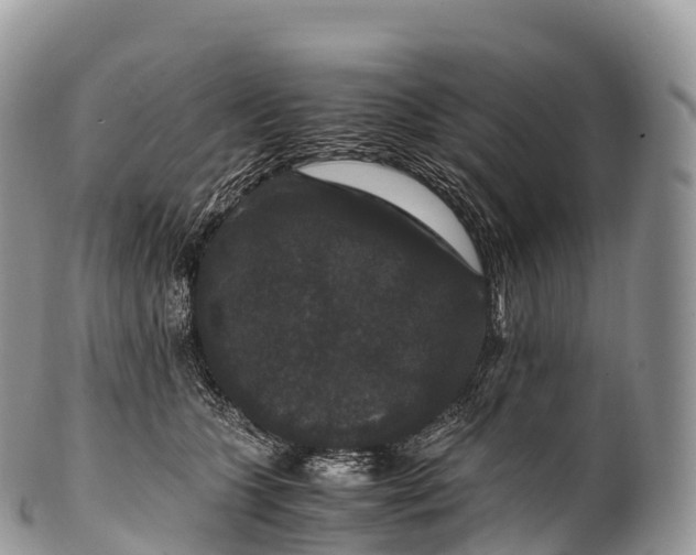 X0000100380563200806201653