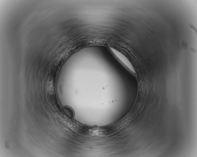 X0000100380564200806201653