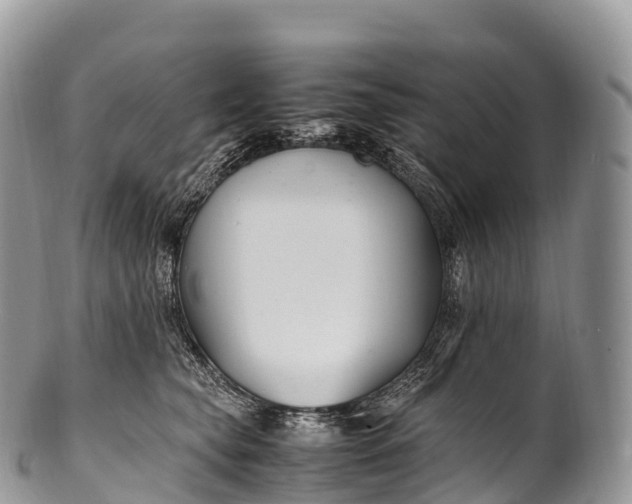 X0000100380565200806201653