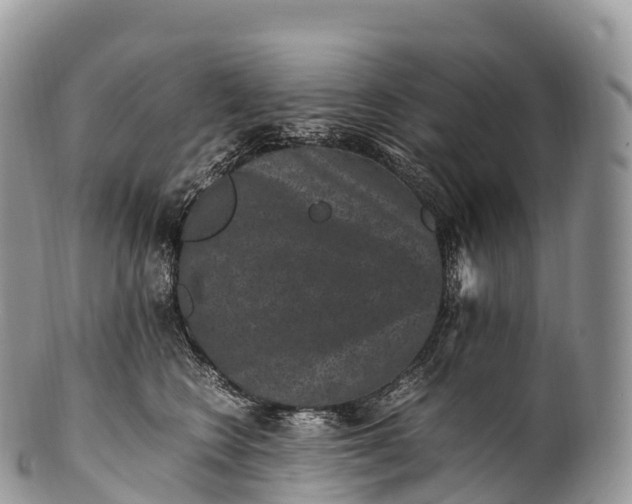 X0000100380566200806201653