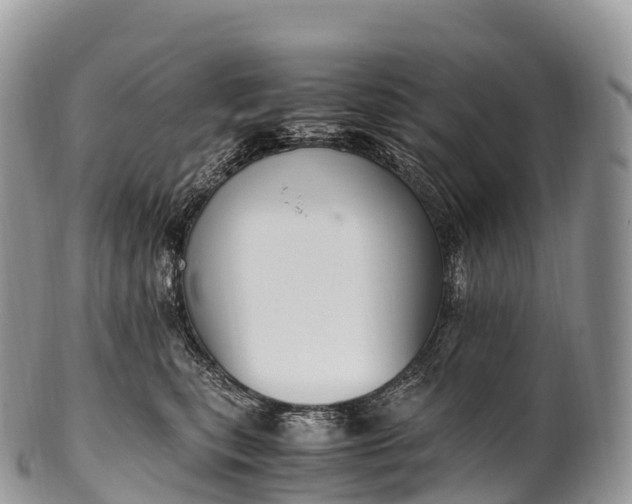 X0000100380567200806201653