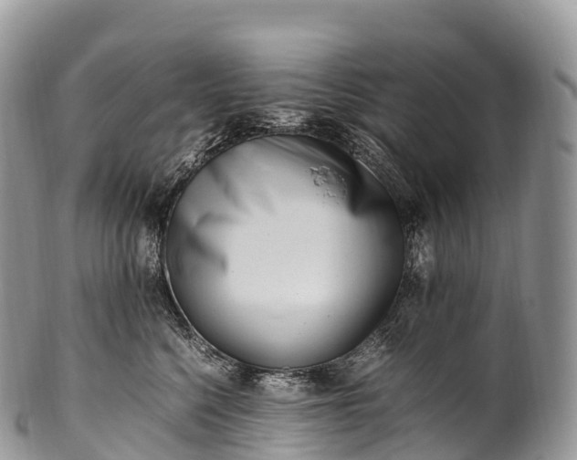 X0000100380568200806201653